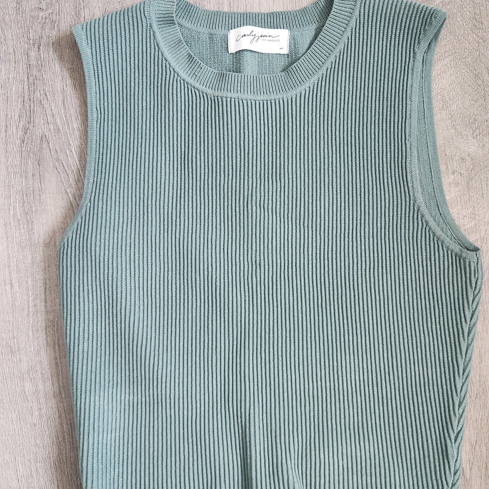 Carly Jean Los Angeles Ribbed Muscle Tee - Sage